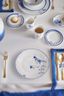 Dinner Plate Pip & The Blue Bird White 25.5cm
