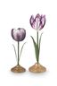 Set/2 Tulp Kandelaars Metaal Lila