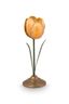 Set/2 Tulipe Bougeoirs en Métal Jaune