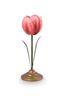 Set/2 Tulipe Bougeoirs en Métal Rose