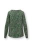 Tina Top Lange Mouw Daisy Dreams Groen 