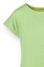 Tatum Top Kurze Ärmeln Little Sumo Stripe Grün
