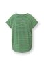 Tatum Top Korte Mouw Kente Stripe Groen 