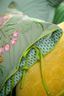 Taie d'oreiller Bamboleo Vert