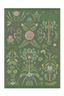 Tapis Extérieur Bamboleo by Pip Vert