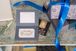 Pip Studio Cadeaukaart €25 - €50