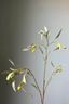 Pip Fleurs Artificielles Winter Spring