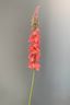 Pip Kunstbloemen Coral Sunrise