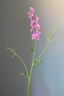 Pip Kunstbloemen Blushing Meadows