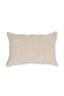 Coussin Velvet Sky Sable