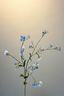 Pip Artificial Flowers Blooming Meadow