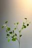 Pip Kunstbloemen Blooming Meadow