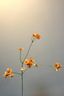 Pip Artificial Flowers Blooming Meadow