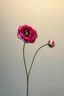 Pip Kunstbloemen Where Ranunculus Bloom