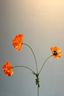 Pip Artificial Flowers Field of Happiness