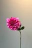 Pip Artificial Flowers Field of Happiness