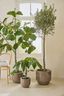 Flower Pot Khaki 40cm